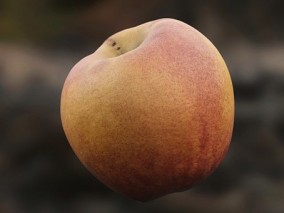 桃子 油桃 次时代水果 写实桃子 4k prh贴图带ao法线粗糙度金属度高光
